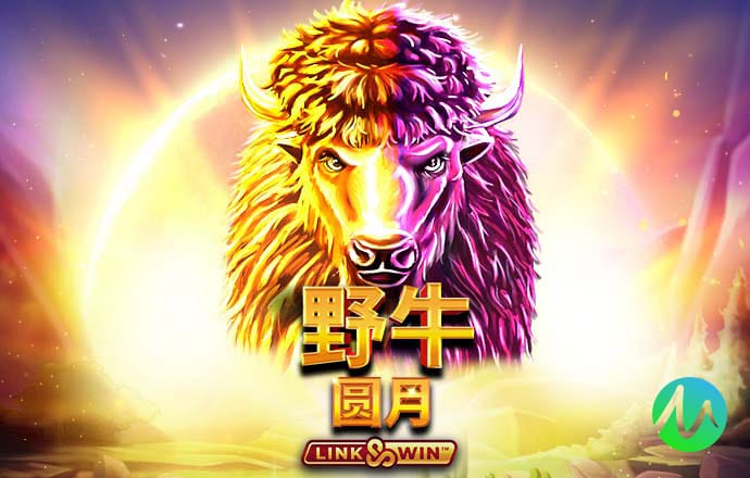 飞驰娱乐官网入口网站